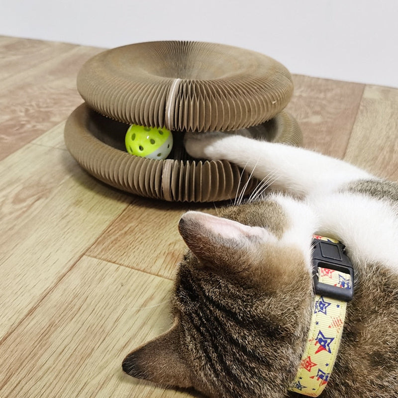 Brinquedo Interativo Para Gatos I Cat Joy + 1 Bola de Brinde